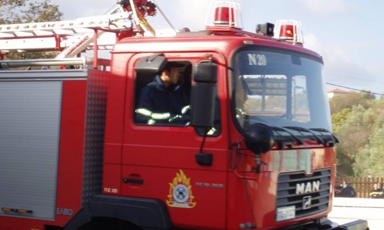 Γρεβενά: Πυρκαγιά σε σκεπή ξενώνα στη χιονοδρομικό κέντρο στη Βασιλίτσα
