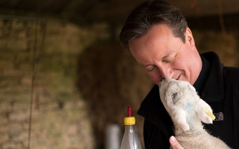 Βρετανία: Τα φιλιά του Κάμερον σε ένα… αρνάκι! (video & pics)  