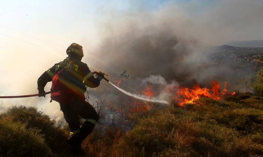 Χανιά: Υπό μερικό έλεγχο η πυρκαγιά στο δήμο Πλατανιά