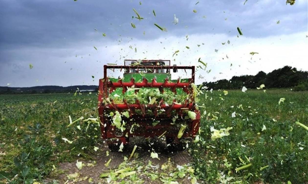 Αποζημιώσεις 30 εκατ. ευρώ σε αγρότες τη Μ. Τρίτη από τον ΕΛΓΑ