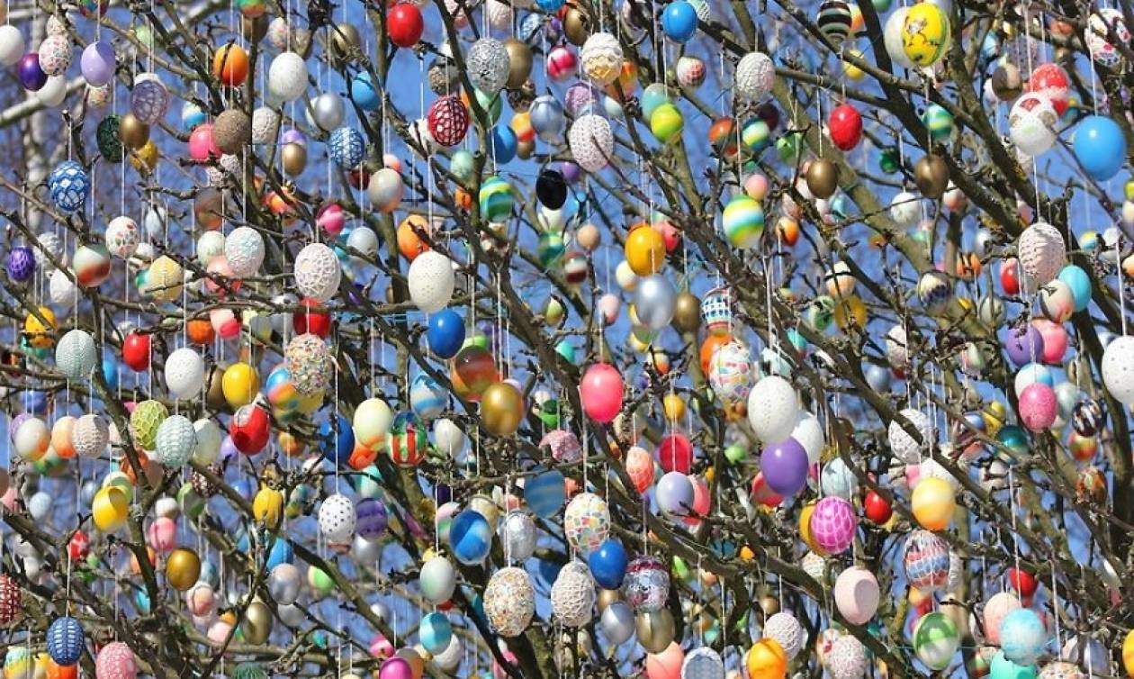 Γερμανία: Κρέμασαν 10.000 αυγά σε δέντρο (photos)