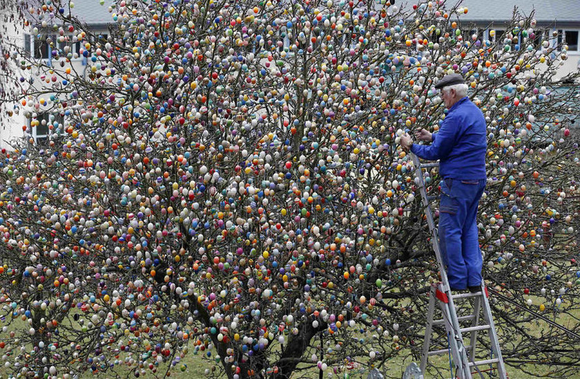 Γερμανία: Κρέμασαν 10.000 αυγά σε δέντρο (photos)