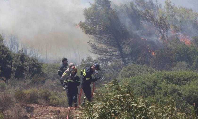 Στις φλόγες μεγάλη χορτολιβαδική έκταση στη Ξάνθη (Video)