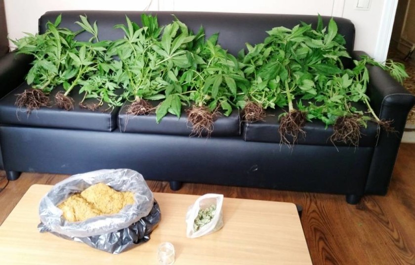 Αλεξανδρούπολη: Σύλληψη 40χρονου για καλλιέργεια φυτών κάνναβης
