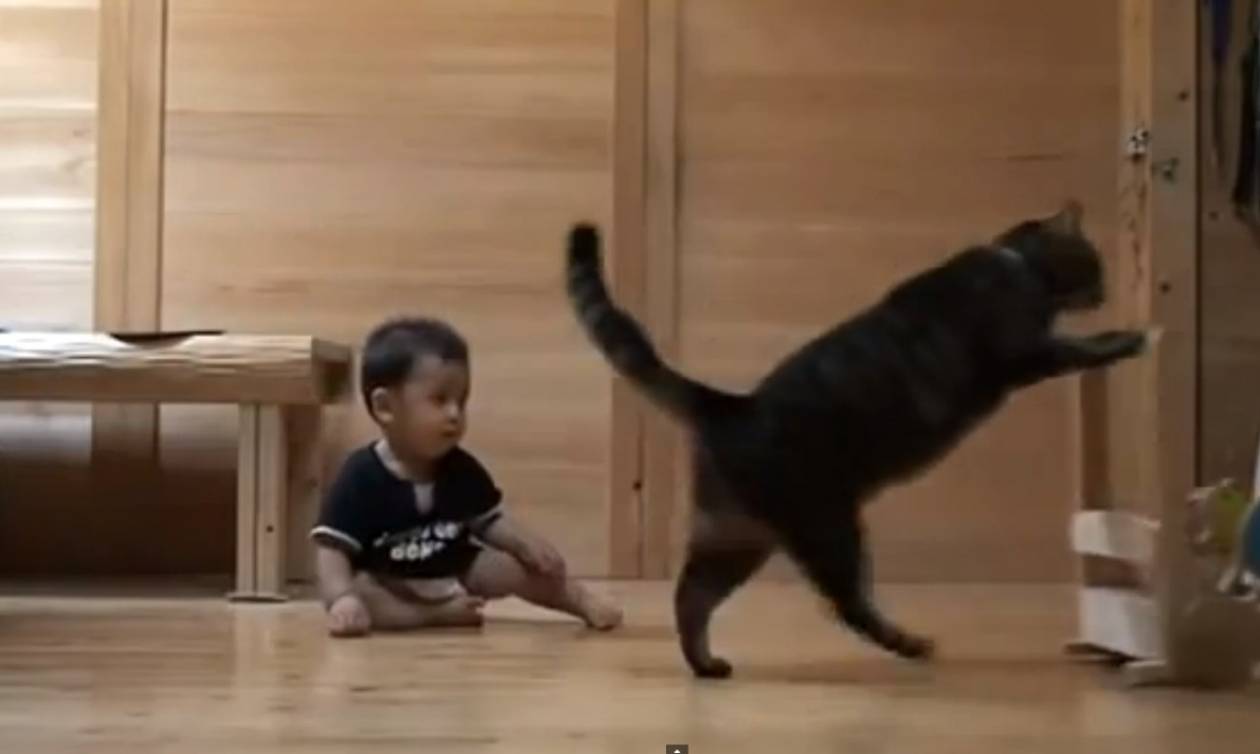 Γάτα μαθαίνει σε μωράκι να… περπατά! (video)