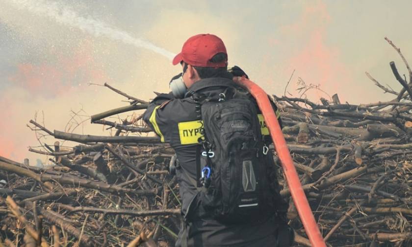 Χανιά: Ξεκίνησε για να κάψει ξερόκλαδα και προκάλεσε μεγάλη φωτιά