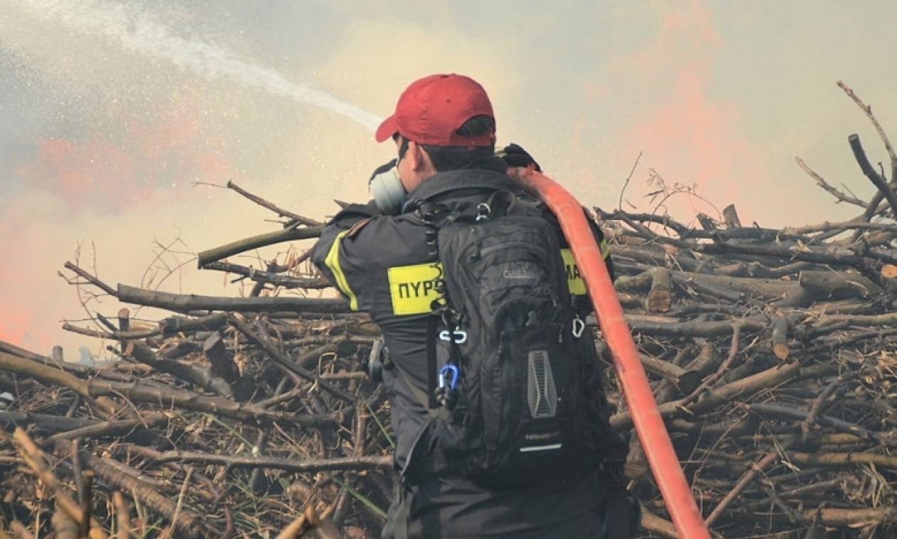 Χανιά: Ξεκίνησε για να κάψει ξερόκλαδα και προκάλεσε μεγάλη φωτιά
