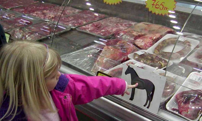 Ολλανδία: Εξαρθρώθηκε κύκλωμα διακίνησης αλογίσιου κρέατος
