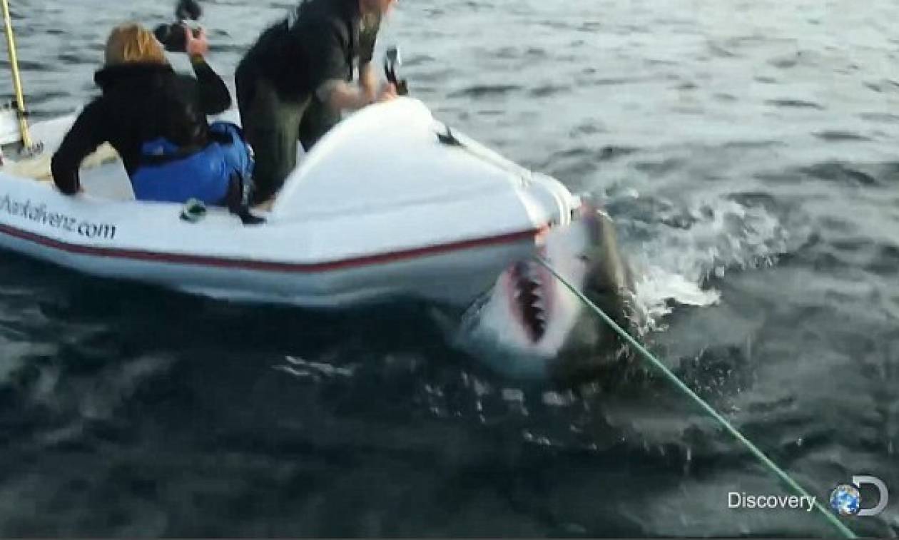 Ανατριχιαστικό βίντεο: Δέχθηκαν επίθεση από καρχαρία