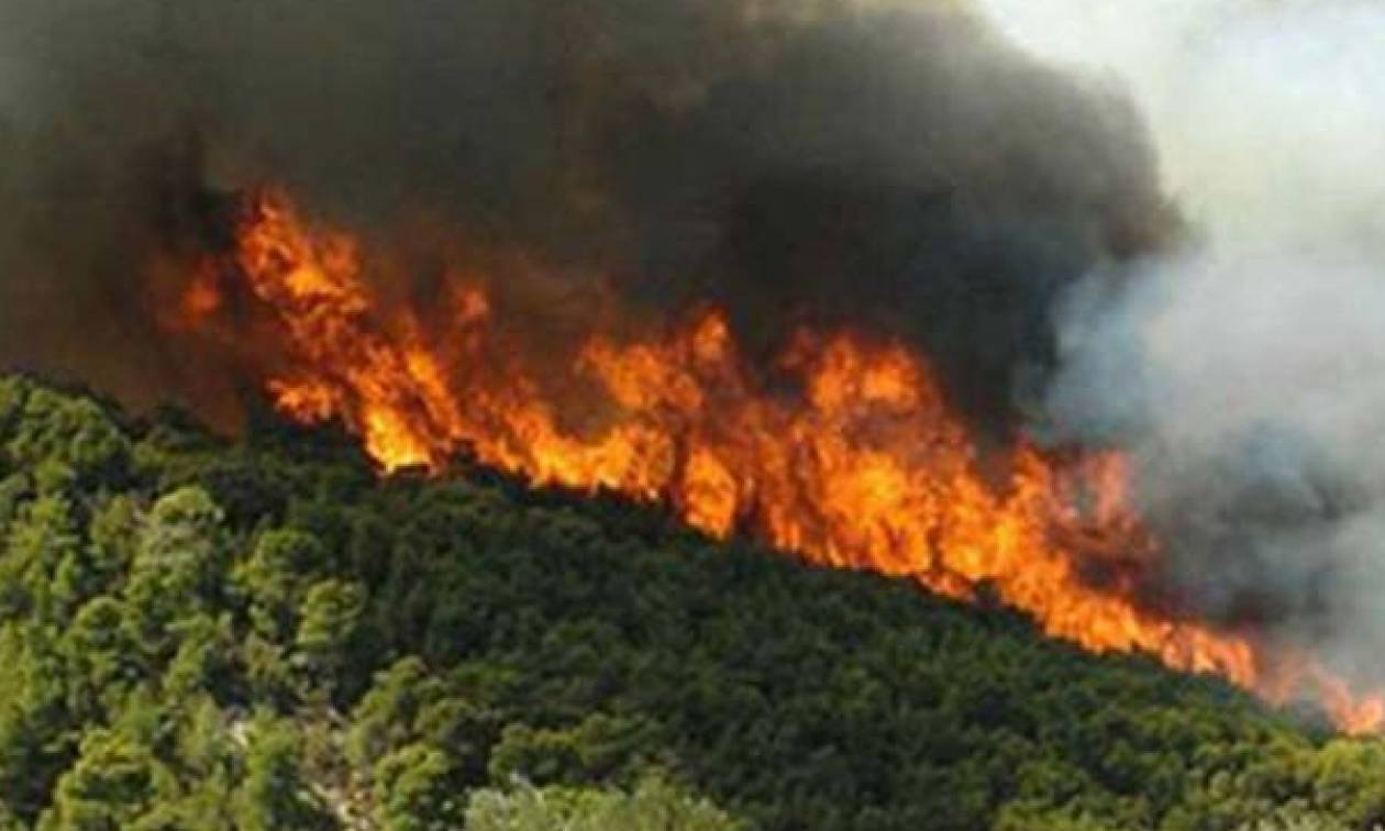 Σάμος: Ύφεση παρουσιάζει η πυρκαγιά στο Καρλόβασι