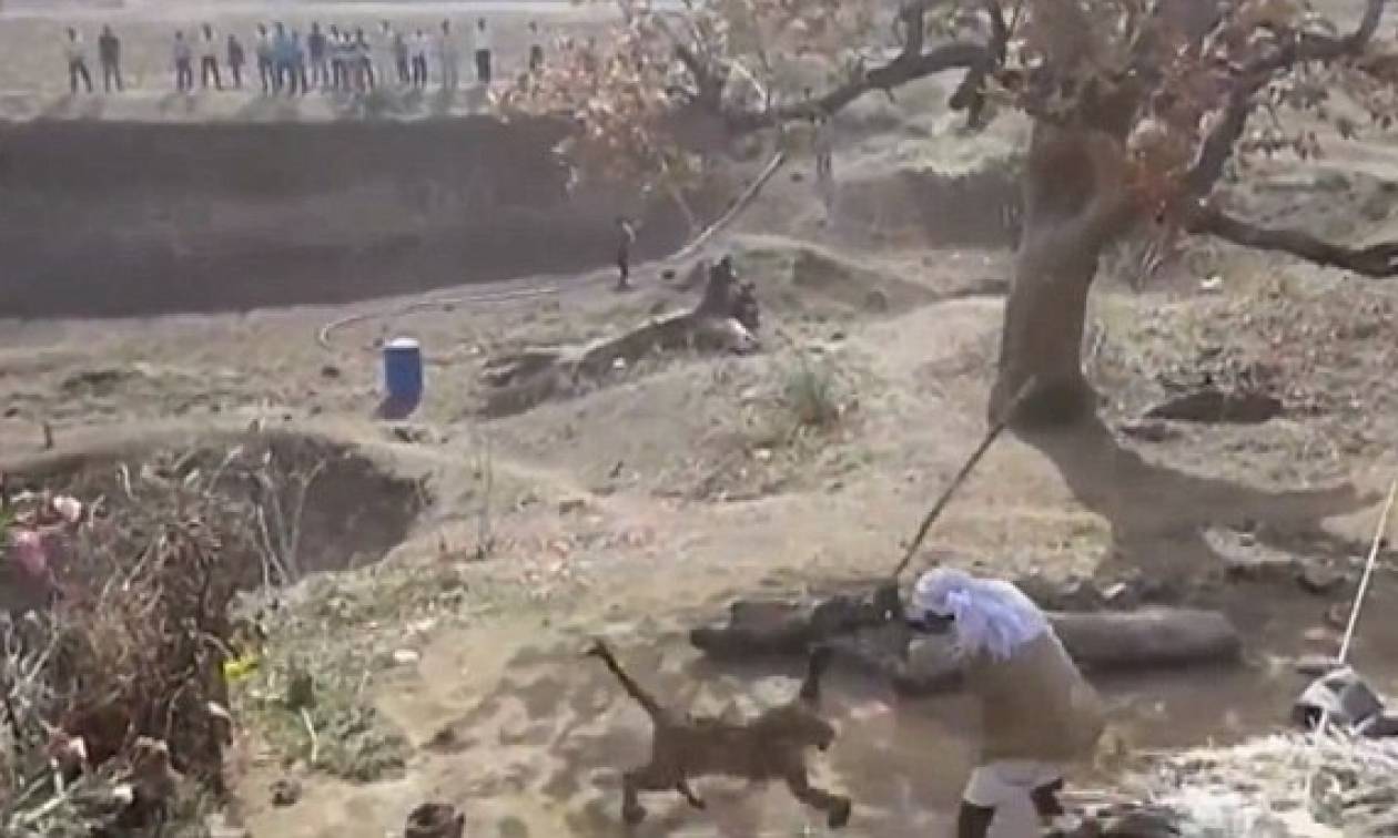 Συγκλονιστικό βίντεο: Η άνιση μάχη ενός Ινδού με μία… λεοπάρδαλη! (video)