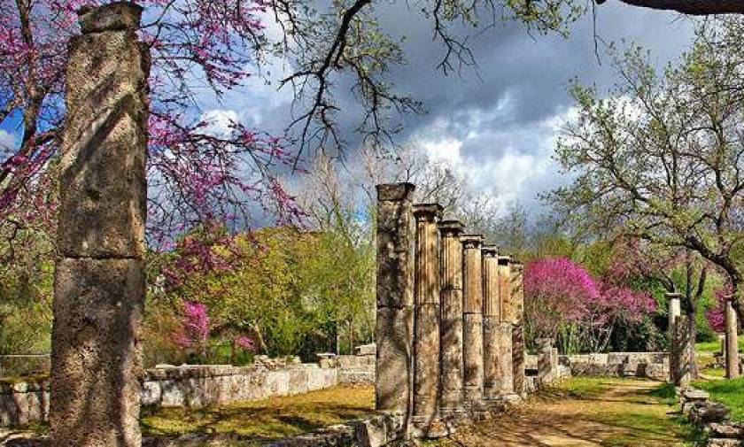 Αποκαλύφθηκε περαιτέρω η Ανατολική Στοά στο Γυμνάσιο της Αρχαίας Ολυμπίας