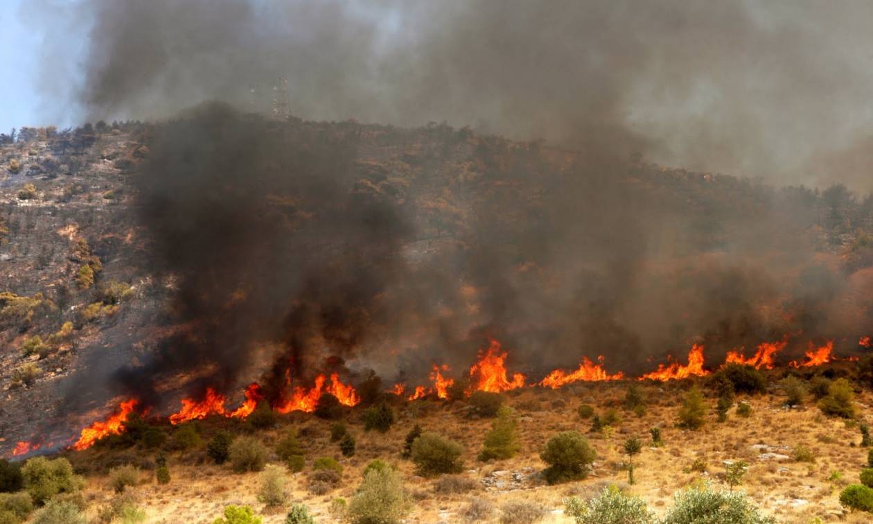 Οικονομική ενίσχυση 18,4 εκατ. ευρώ στους δήμους για αντιμετώπιση δασικών πυρκαγιών