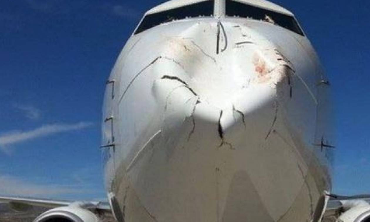 Εικόνες που σοκάρουν: Σμήνος πουλιών συγκρούστηκε με αεροπλάνο