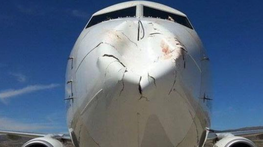 Εικόνες που σοκάρουν: Σμήνος πουλιών συγκρούστηκαν με αεροπλάνο