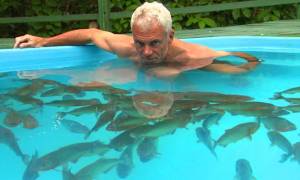 Eσείς θα κολυμπούσατε με πιράνχας; (video)