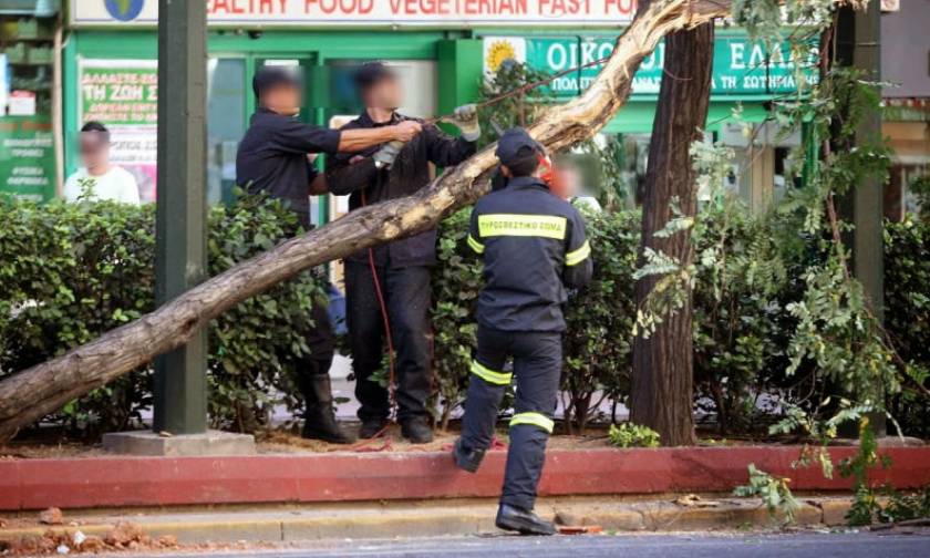 Αττική: Οι ισχυροί άνεμοι έφεραν πτώσεις δέντρων και αντικειμένων