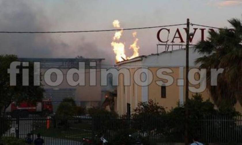 Αίγιο: Φωτιά σε εγκαταστάσεις οινοποιίας (Photo)