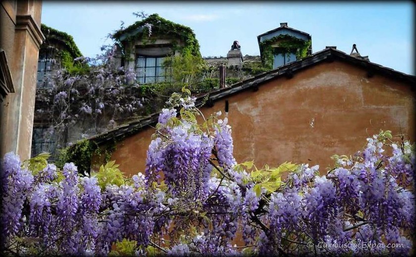 Μια βόλτα στην Ιταλία με αφορμή τα λουλούδια (photos)