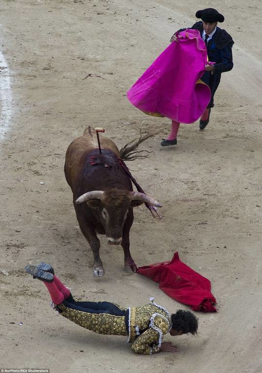 Η εκδίκηση του ταύρου: Έβγαλε νοκ άουτ τον ταυρομάχο τρυπώντας τον στο λαιμό (video & pics)   