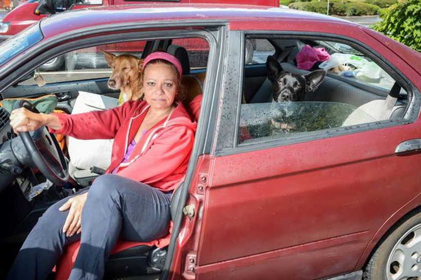 Βρετανία: Έμεινε άστεγη γιατί αρνήθηκε να εγκαταλείψει τα σκυλιά της (video & pics)