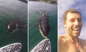 Τρόμος στο νερό: Φάλαινα δολοφόνος κυνηγά… σέρφερ! (video)