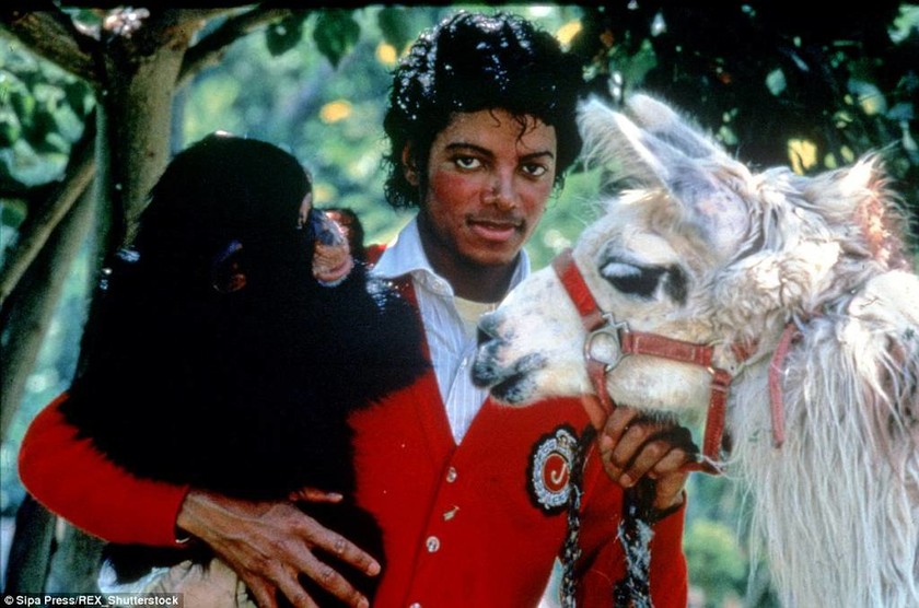 Στο «σφυρί» η εντυπωσιακή «Neverland» του Μάικλ Τζάκσον (photos) 