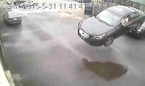 Σοκαριστικό ατύχημα: Αυτοκίνητο... πέταξε στον αέρα - Σώθηκε από θαύμα ο οδηγός (video)