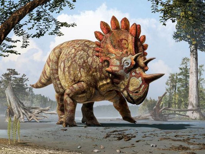 Ανακάλυψαν απολίθωμα αλλόκοτου δεινοσαύρου! (photo)