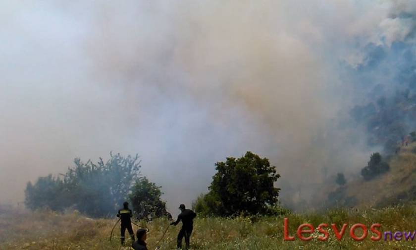 Λέσβος: Σε εξέλιξη μεγάλη πυρκαγιά στην περιοχή Προφήτη Ηλία Καγιανιού