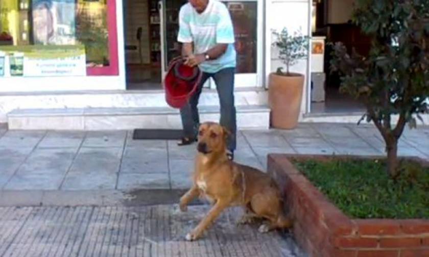 Θεσσαλονίκη: Εισαγγελική εντολή για διερεύνηση του περιστατικού στο οποίο άνδρας καταβρέχει σκύλο