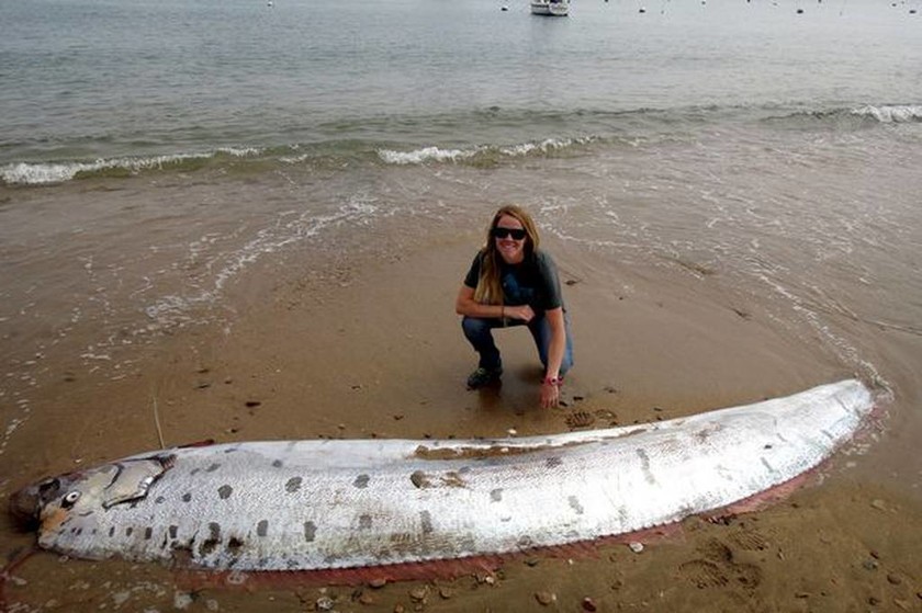 Τρόμος από το γιγάντιο ψάρι που ξεβράστηκε στις ακτές της Καλιφόρνια! (photos)