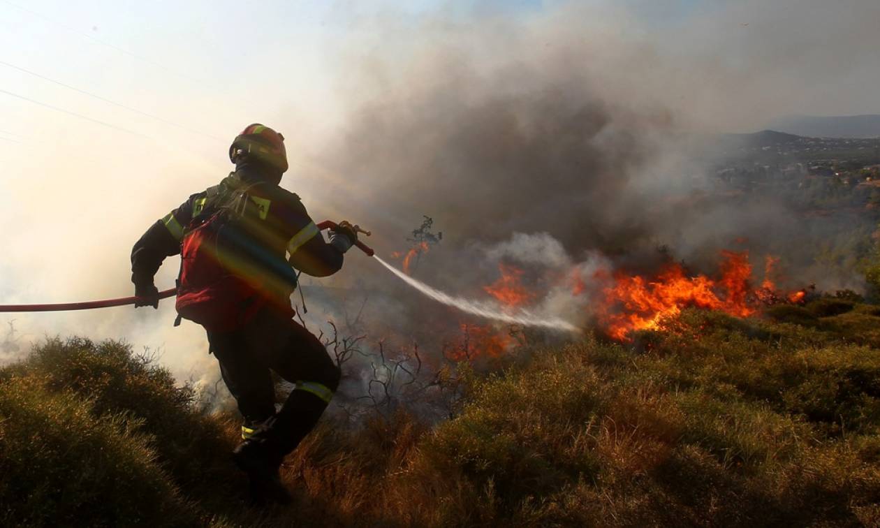 Συναγερμός στην Πυροσβεστική: Μαίνεται πυρκαγιά στους Γαργαλιάνους