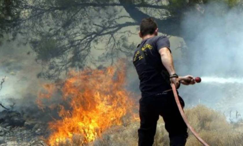 Συναγερμός για πυρκαγιά στα σύνορα Βοιωτίας - Φθιώτιδας