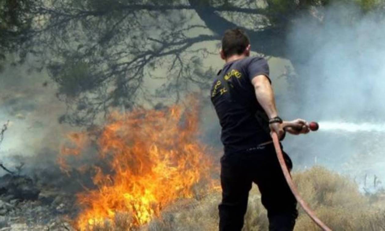 Συναγερμός για πυρκαγιά στα σύνορα Βοιωτίας - Φθιώτιδας