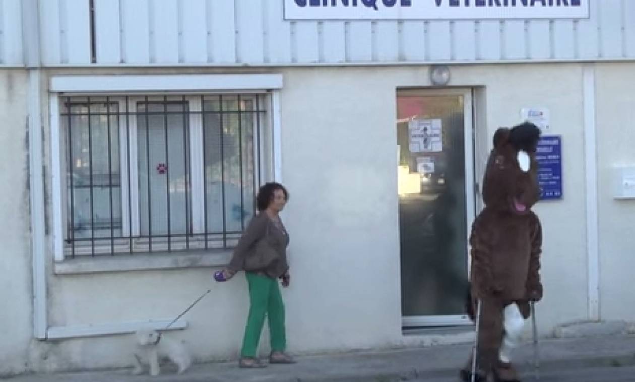 Ο Remi Gaillard τώρα και σκύλος... (video)