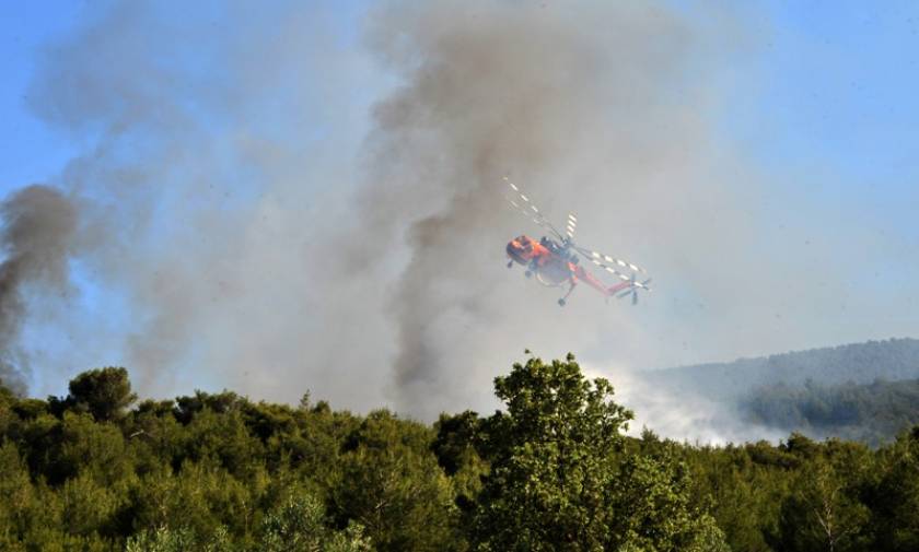 Τώρα: Μεγάλη φωτιά στο Άλσος Βεΐκου