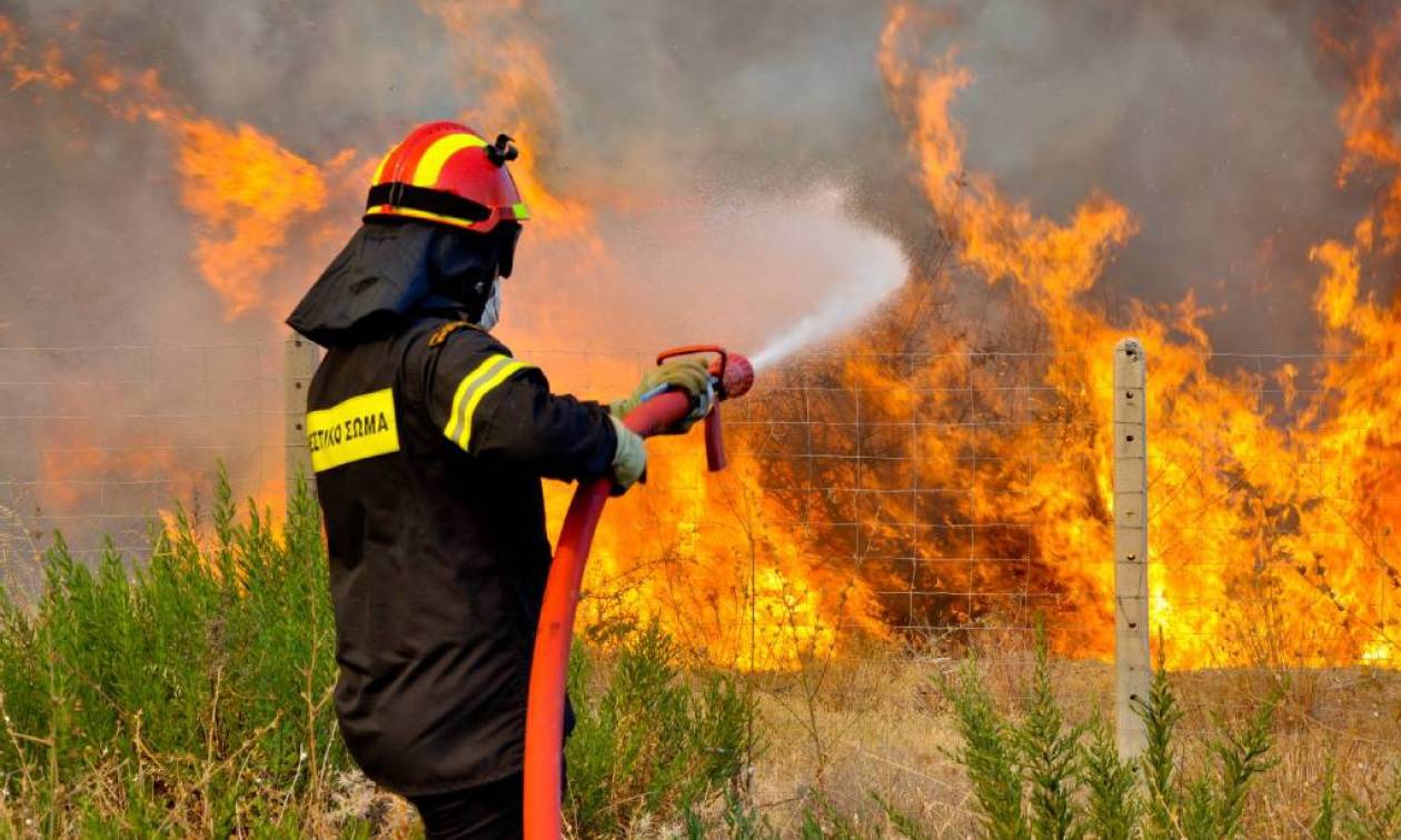 Αττική: Σε εξέλιξη πυρκαγιά στο Ρουπάκι
