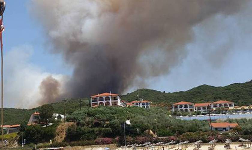 Σε πλήρη ύφεση η φωτιά στη Χαλκιδική –  Έγιναν «στάχτη» 5.000 στρέμματα
