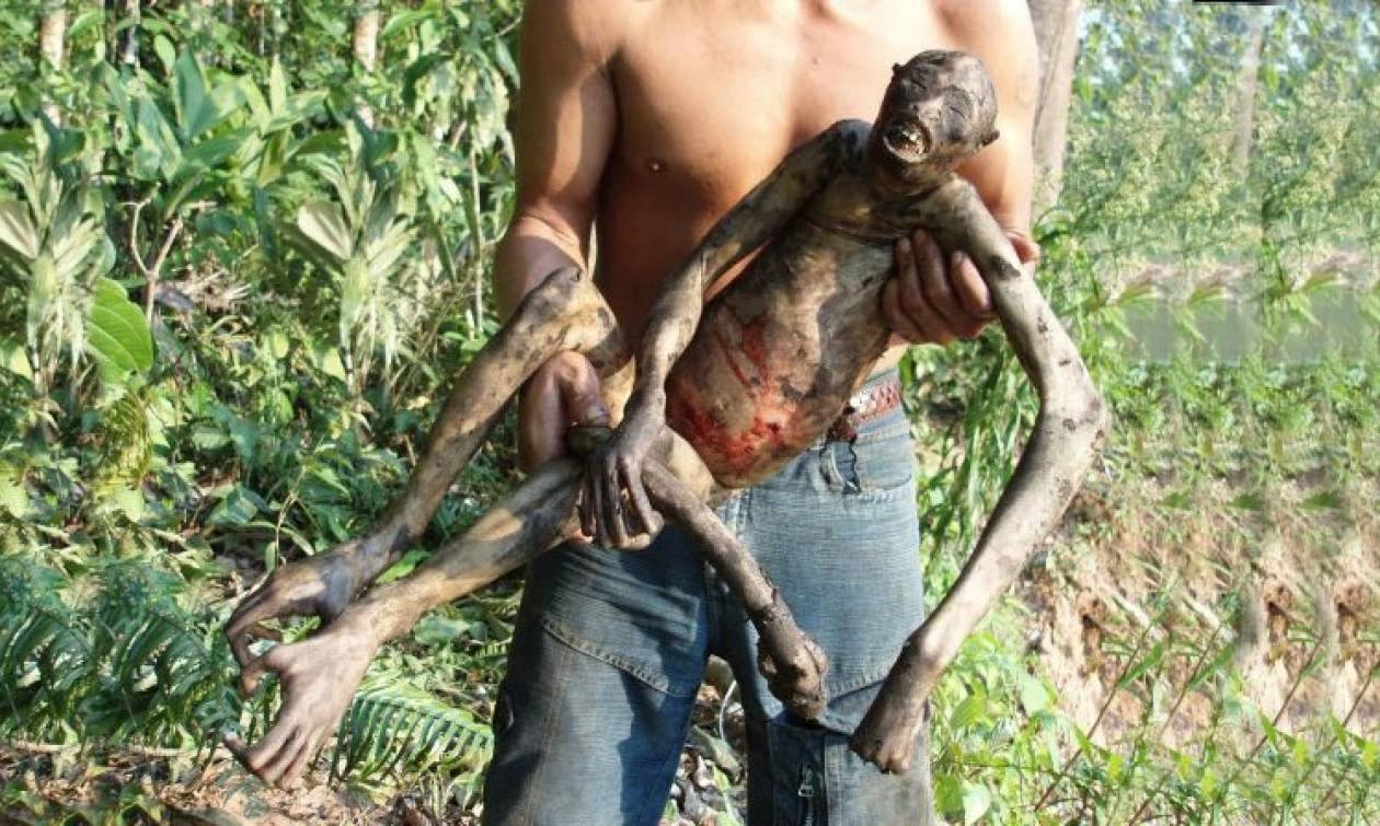 Σοκαριστικό βίντεο: Μυστηριώδες πλάσμα βρέθηκε νεκρό στον Αμαζόνιο