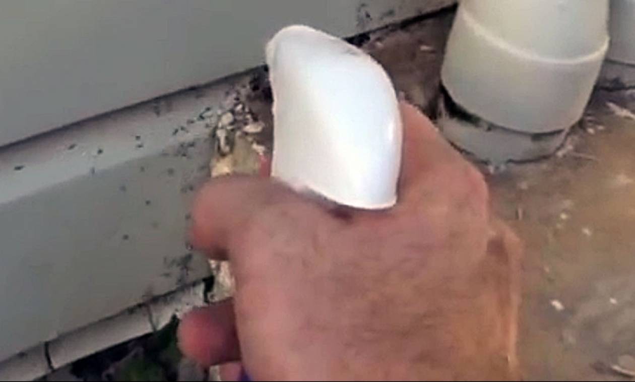 Πρόβλημα με τα μυρμήγκια; Ξεφορτωθείτε τα με έναν απλό τρόπο! (video)