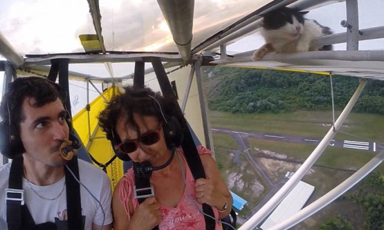 Το αστείο βίντεο της ημέρας: Γάτα τρύπωσε μέσα στο πιλοτήριο και ξύπνησε στον «αέρα»