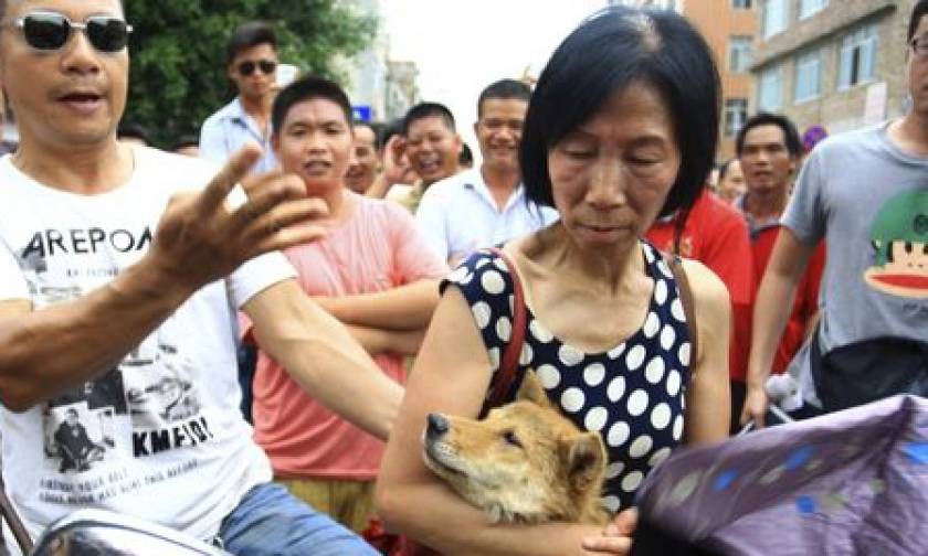 Κίνα: Υπερασπιστές των δικαιωμάτων των ζώων κυνηγήθηκαν στο «φεστιβάλ της ντροπής»