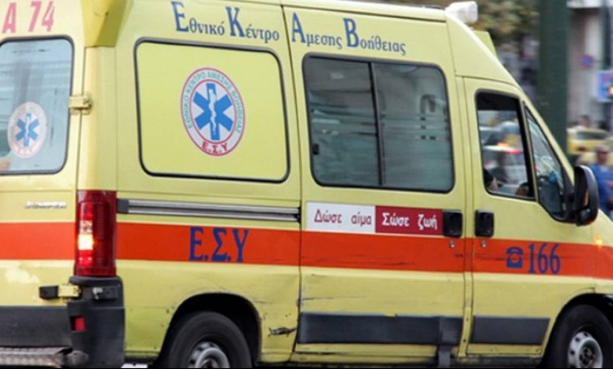 Λαμία: Στο νοσοκομείο μαθήτρια από επίθεση αδέσποτων σκύλων