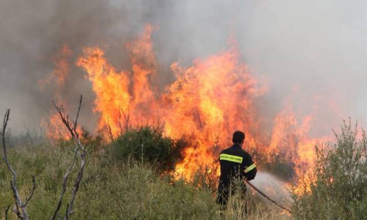 Πυρκαγιά σε εξέλιξη στα Κωσταίικα Χαλανδρίτσας