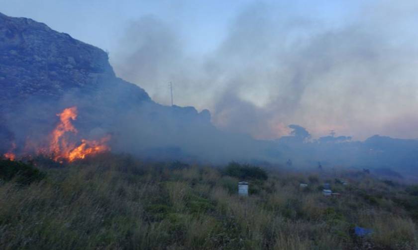 Φθιώτιδα: Μεγάλη φωτιά μαίνεται στο όρος Καλλίδρομο