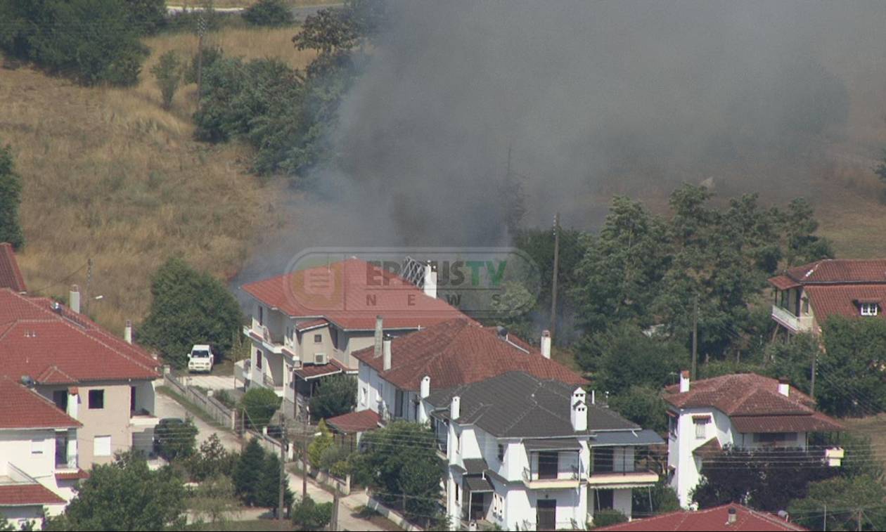 Ιωάννινα: Φωτιά στο Σταυράκι μια ανάσα από τα σπίτια (pics&vid)