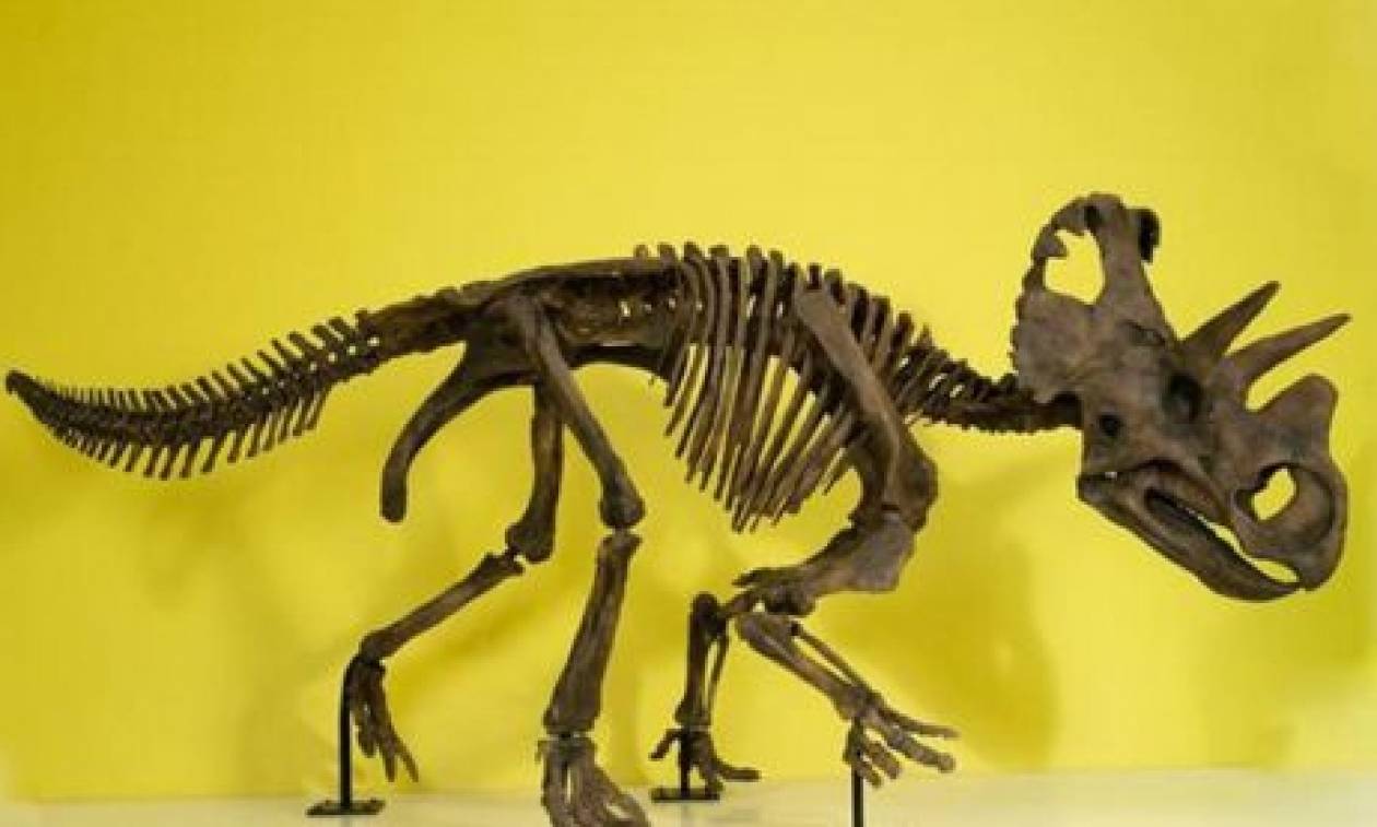 Νέο είδος δεινόσαυρου ανακάλυψαν παλαιοντολόγοι