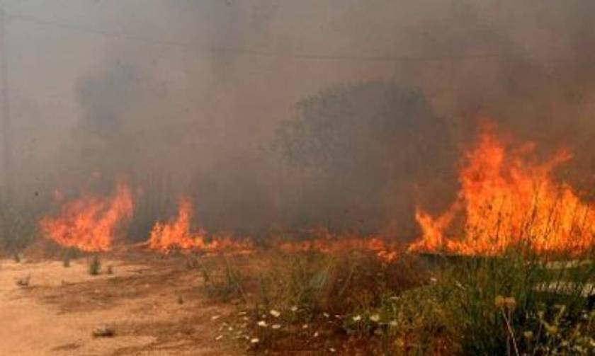 Ζάκυνθος: Πυρκαγιά σε δύσβατη περιοχή στη θέση Σκοπός