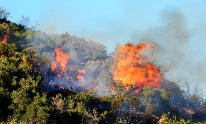 Ζάκυνθος: Υπό πλήρη έλεγχο η φωτιά στο Καλαμάκι